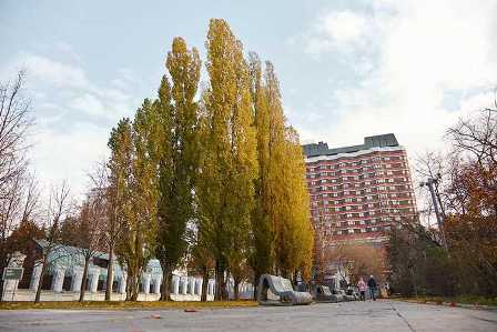 Парки Москвы: где насладиться природой в столичной суете