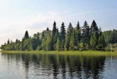 Сохраняем природу: национальные парки и заповедники Москвы и Московской области