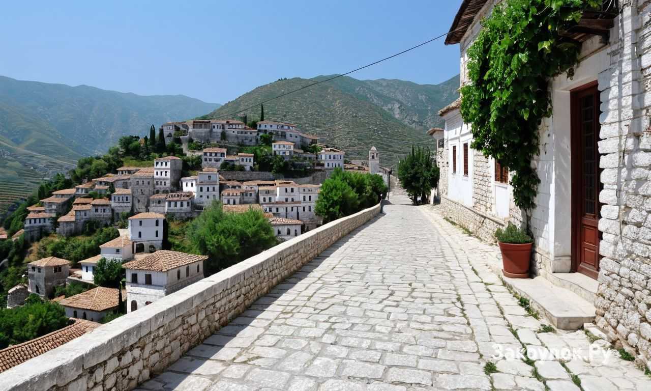 Практика осмотра и логистика