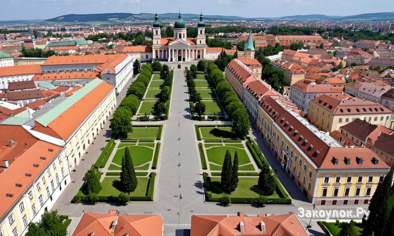 История виноделия Эгера и происхождение вина Бычья кровь