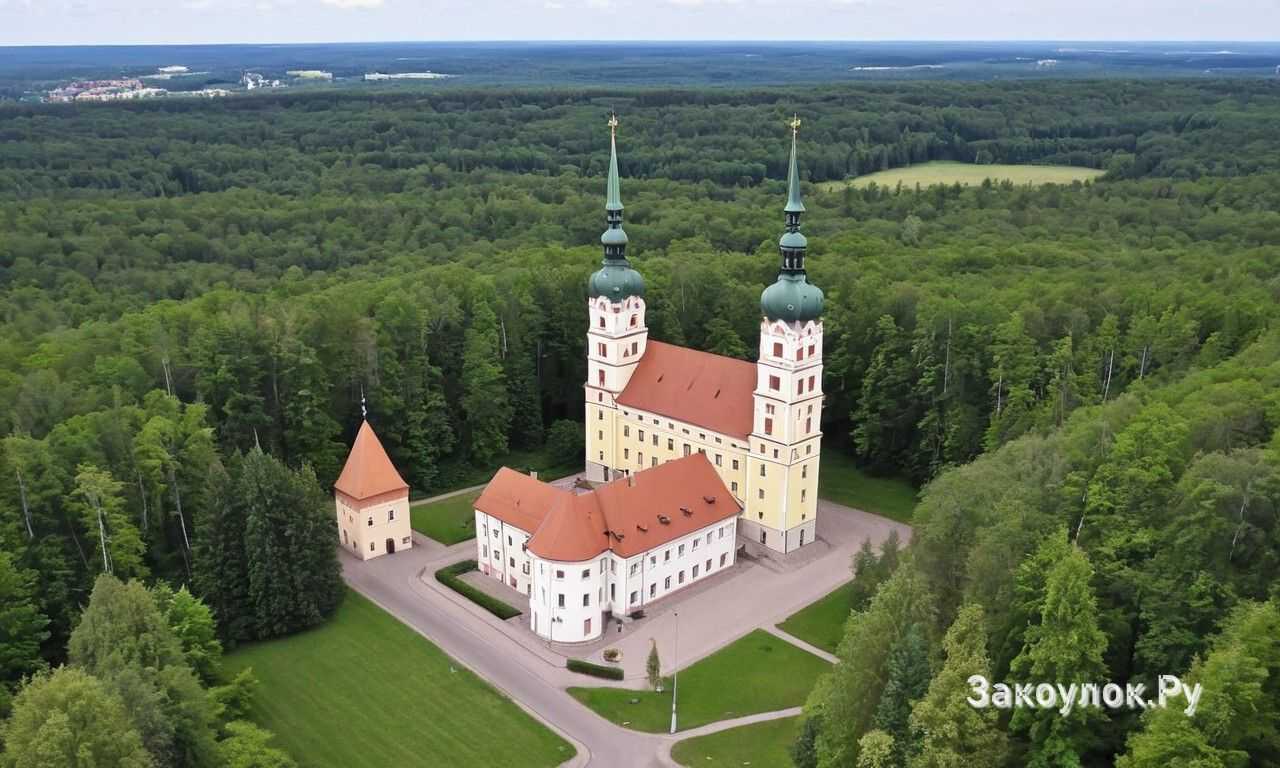 Активный отдых для подростков велопрогулки и веревочные трассы