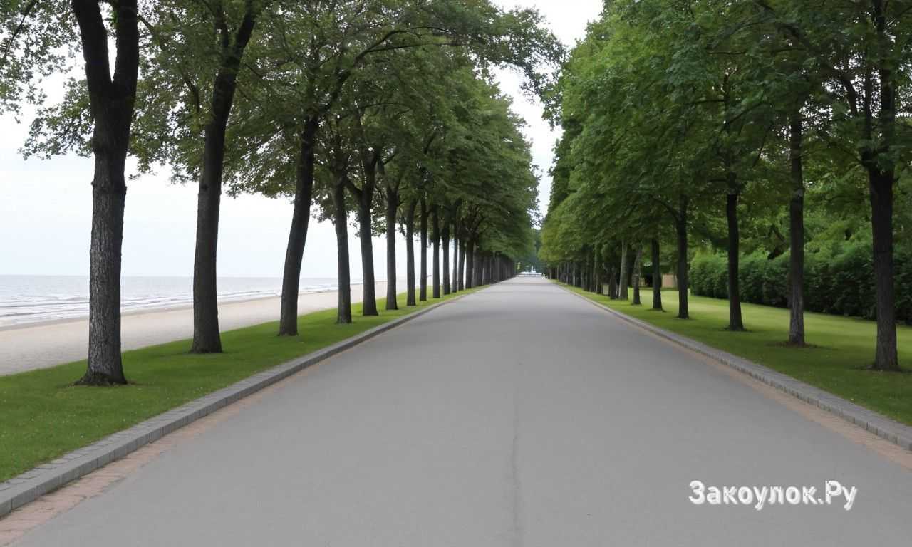 Санатории и спа курорты Юрмалы для оздоровительного отдыха у моря