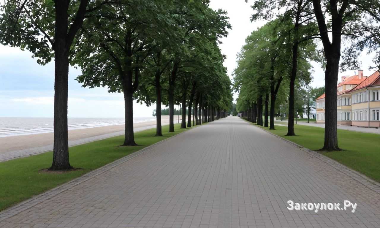 Как забронировать санаторий в Юрмале и получить консультацию врача заранее