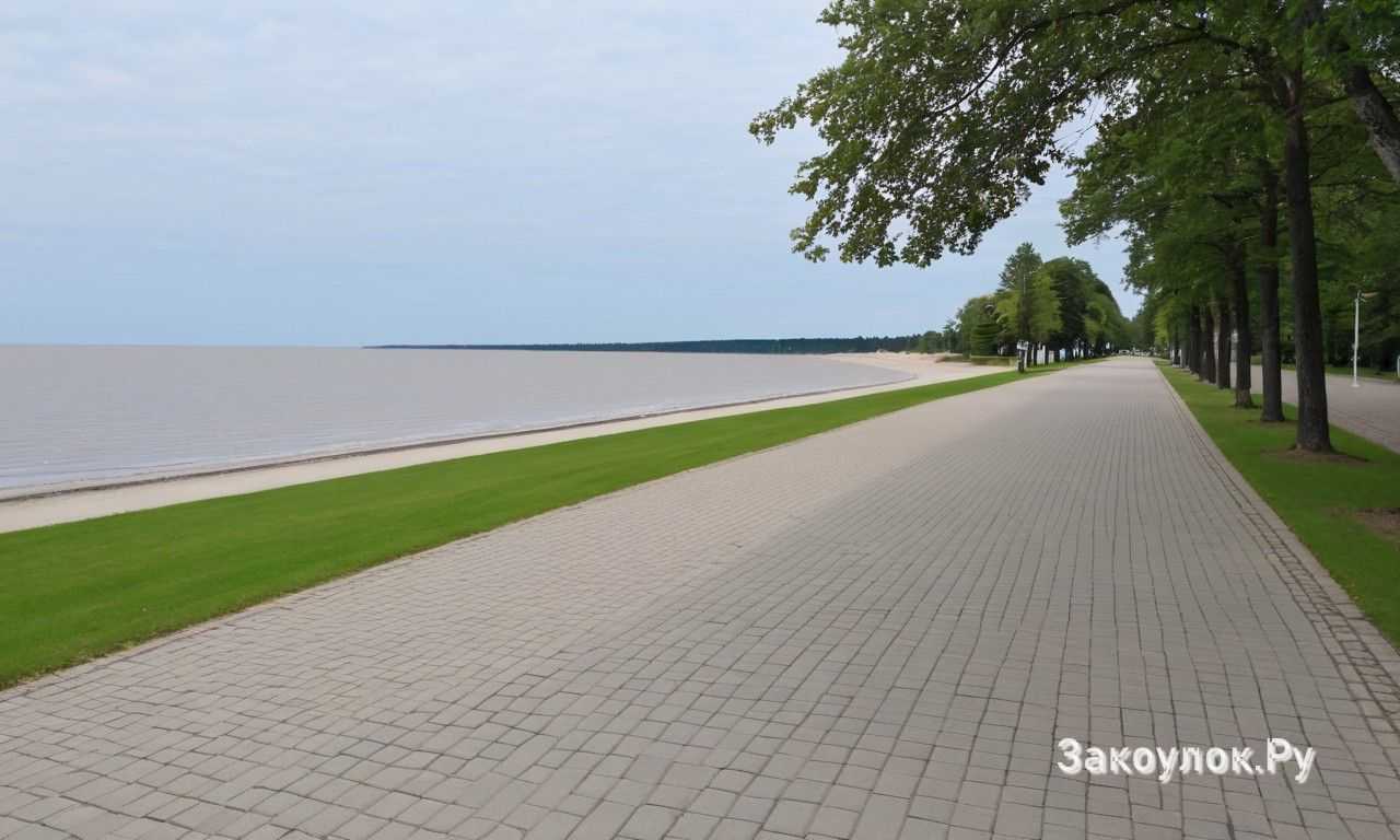 Посещение Дзинтарского лесопарка: тропы, смотровая башня и зоны для прогулок