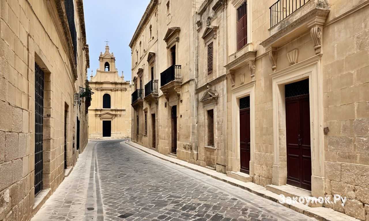 Музей естественной истории и другие экспозиции в центре города