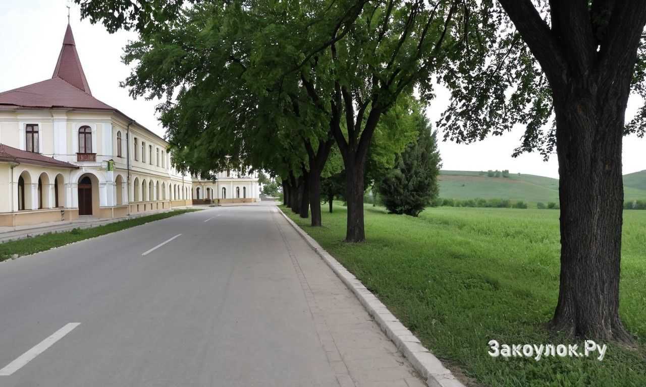 Дополнительные объекты показа