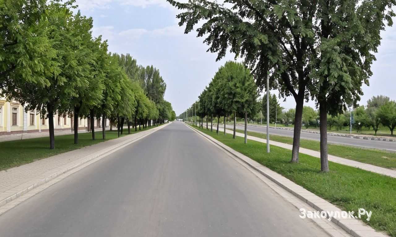 Комбинация с поездками по сельской местности