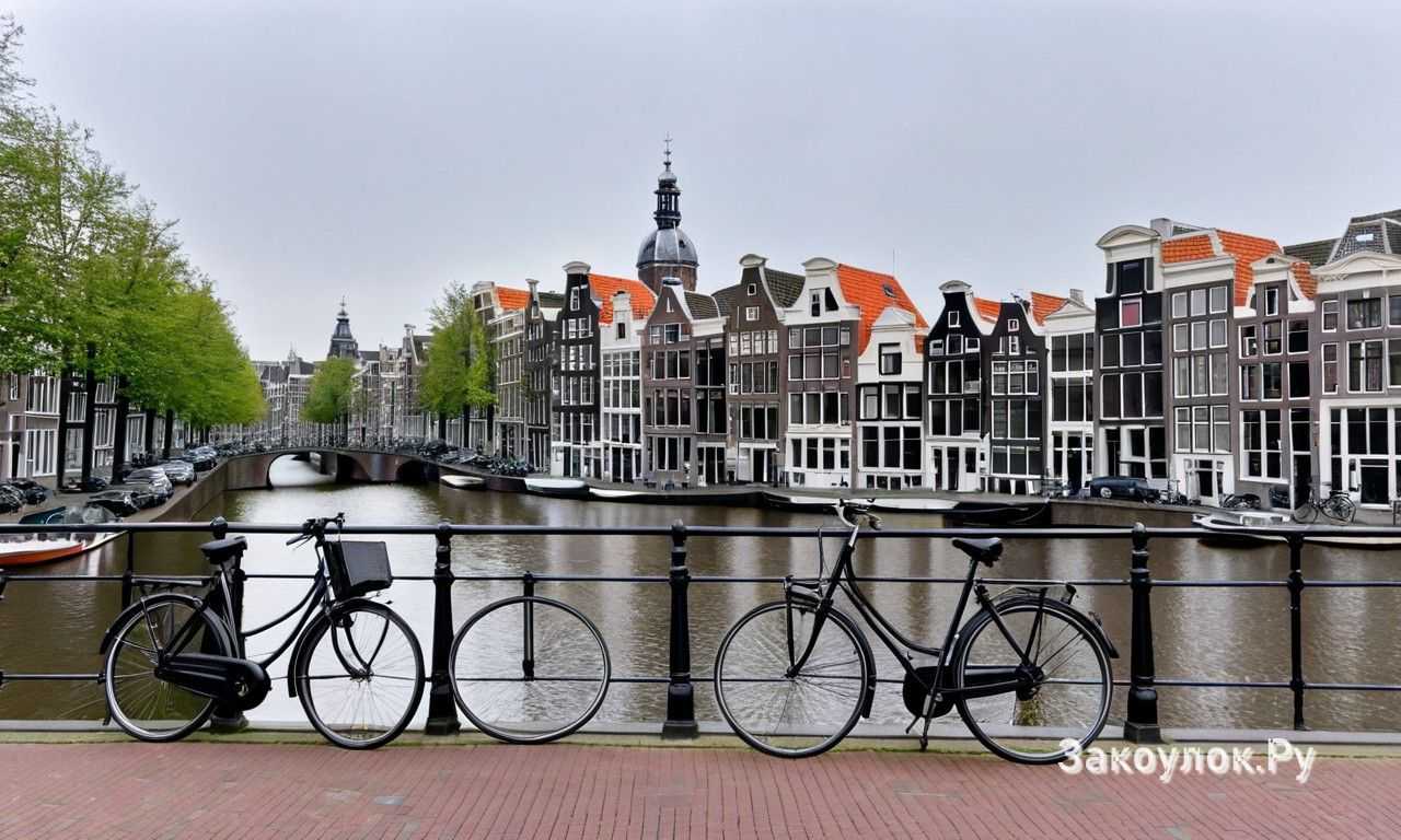 Комбинированные музейные карты и абонементы: как сократить расходы на культурную программу