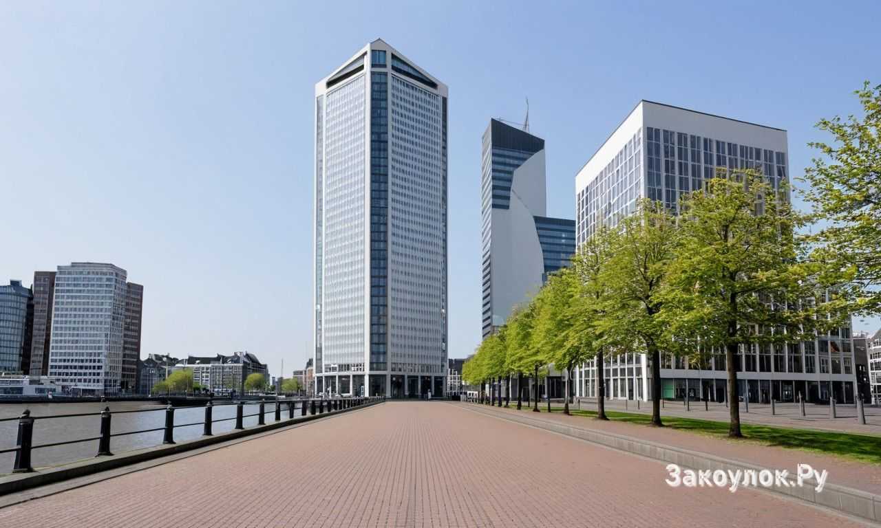 Какие сыры пробовать на фермерских прилавках