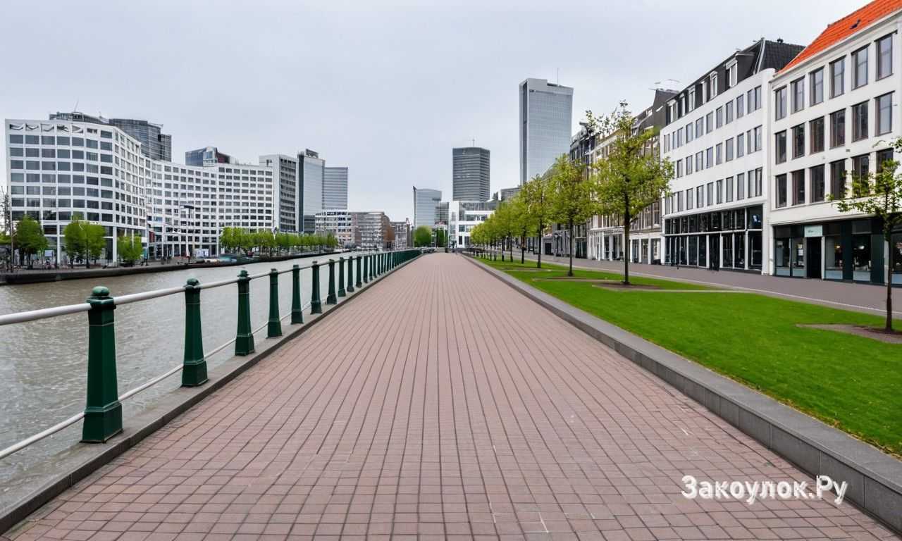 Роттердам в Нидерландах современная архитектура и футуристические объекты