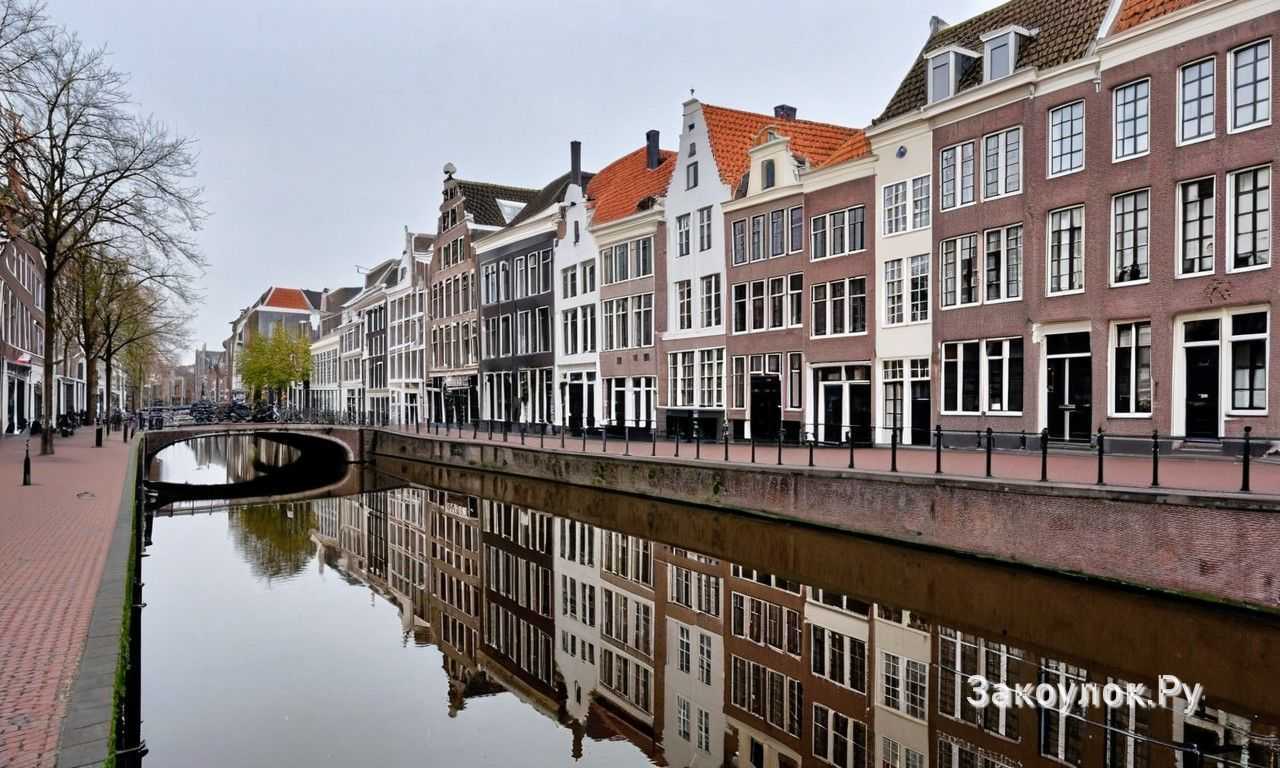 Веломаршруты парки и активный отдых в Утрехте Нидерланды для ярких выходных