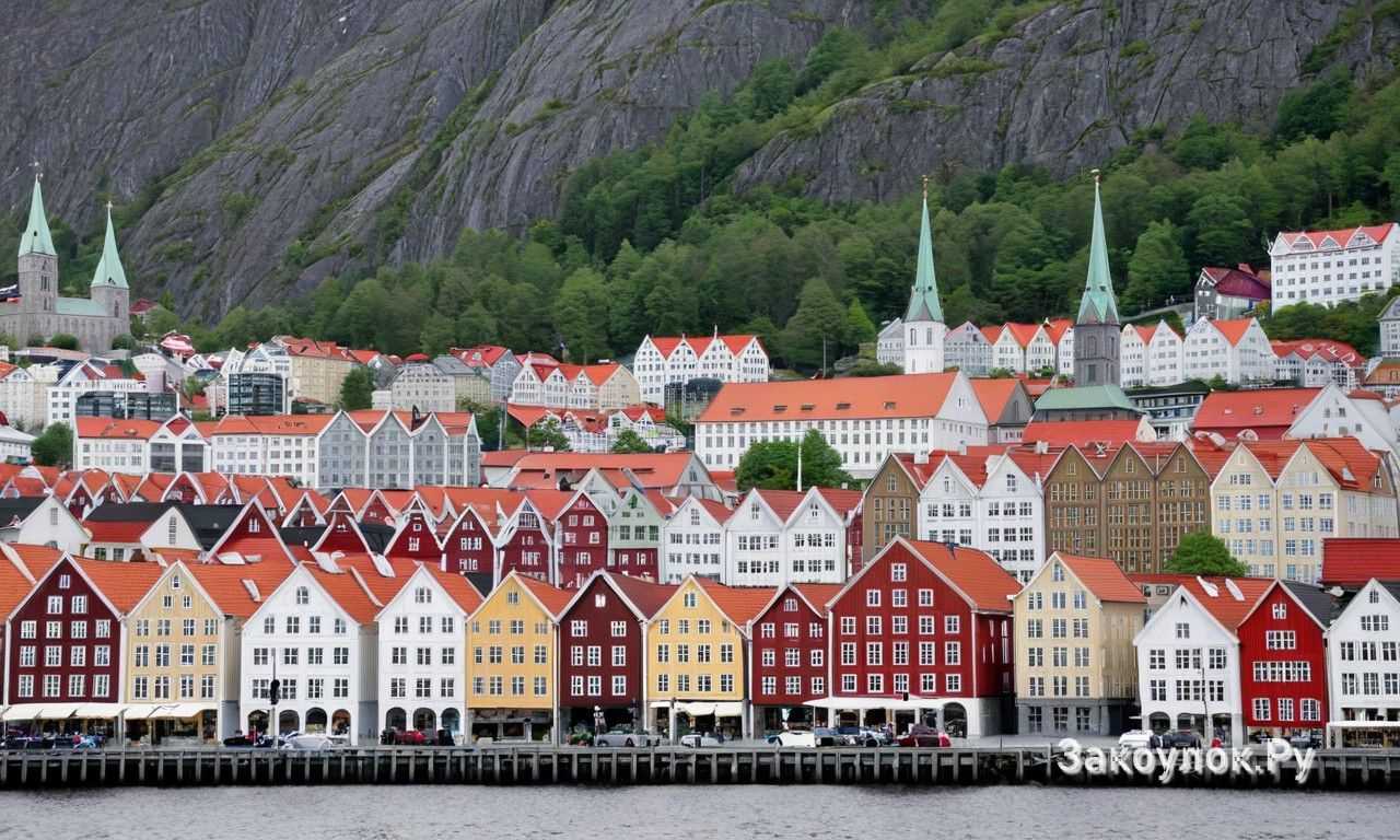 Моллюски и ракообразные