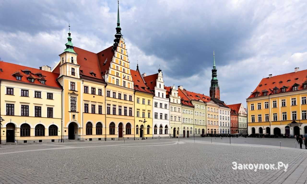 Что включить в программу