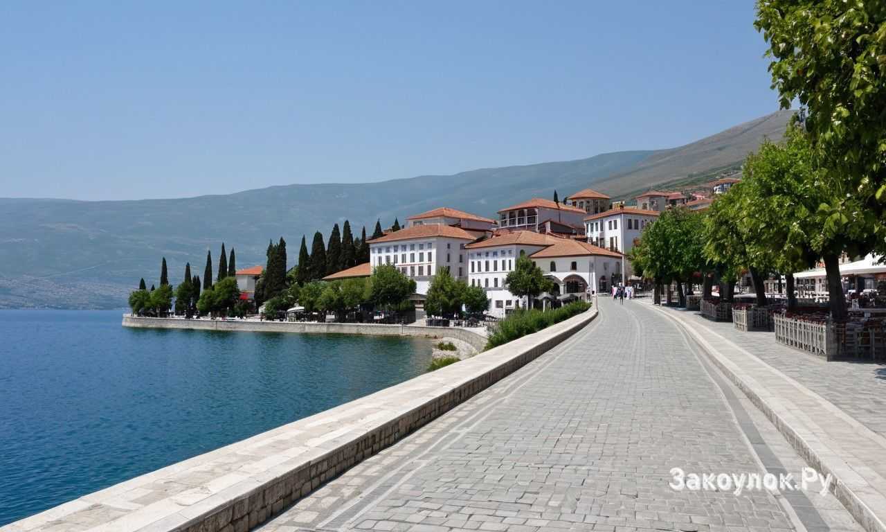 Что входит в программу летних мероприятий