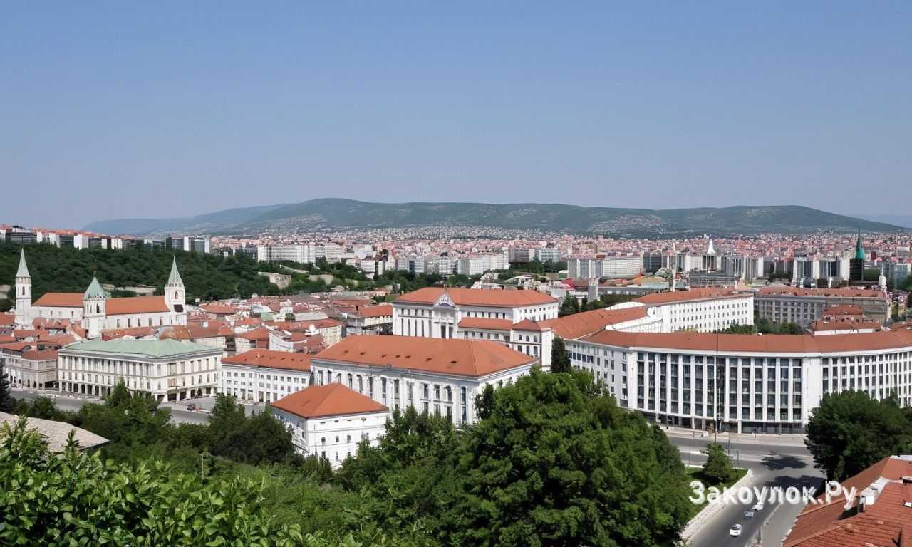 Как выбрать мясные и сырные блюда в Нише