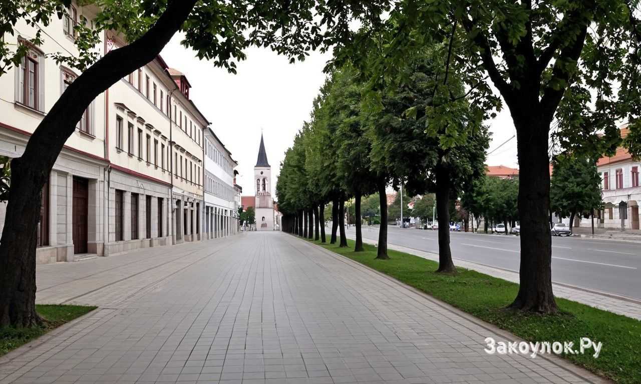 Полезные советы и бюджетные варианты для путешествия в Ниш Сербия