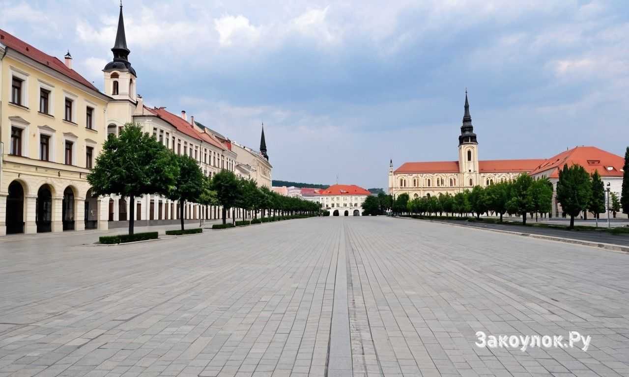 Доступные развлечения и прогулки по городу