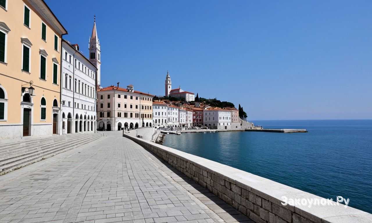 Практичные варианты с видом на воду