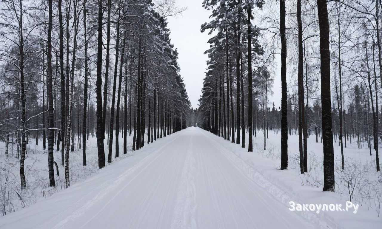 Советы для туристов и бюджетное путешествие по Оулу Финляндия с выгодными вариантами
