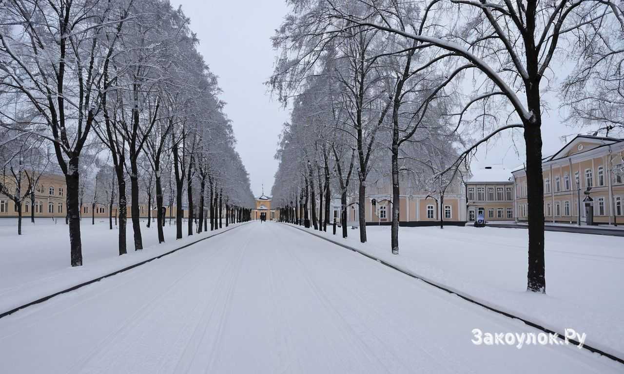 Советы по использованию общественного транспорта и проката велосипедов