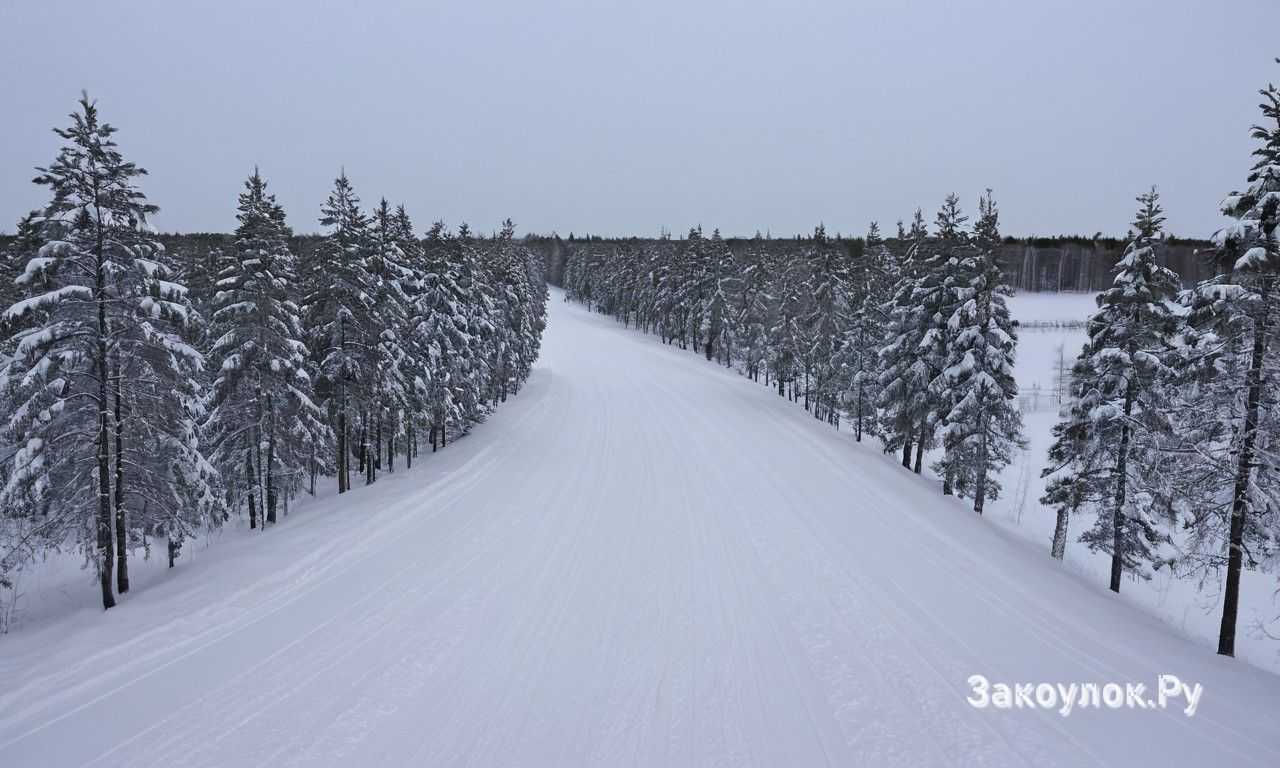 Лучшие рестораны и гастрономические открытия Оулу в Финляндии