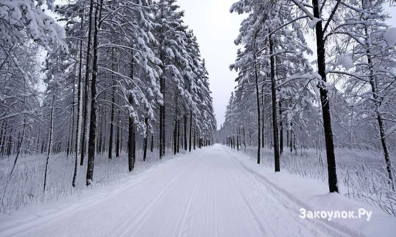Рованиеми Финляндия встречи с Санта-Клаусом праздничные развлечения и зимние приключения