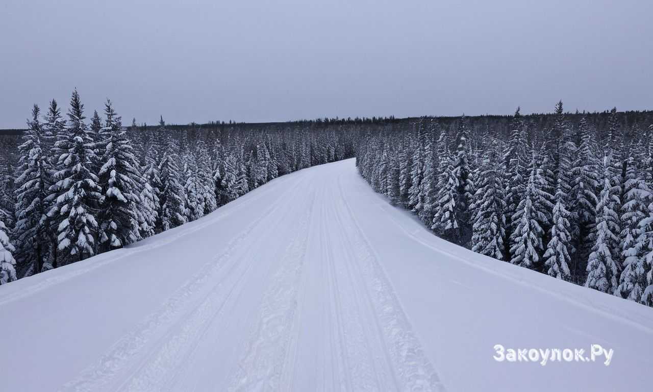 Техника и оборудование для фотосъёмки