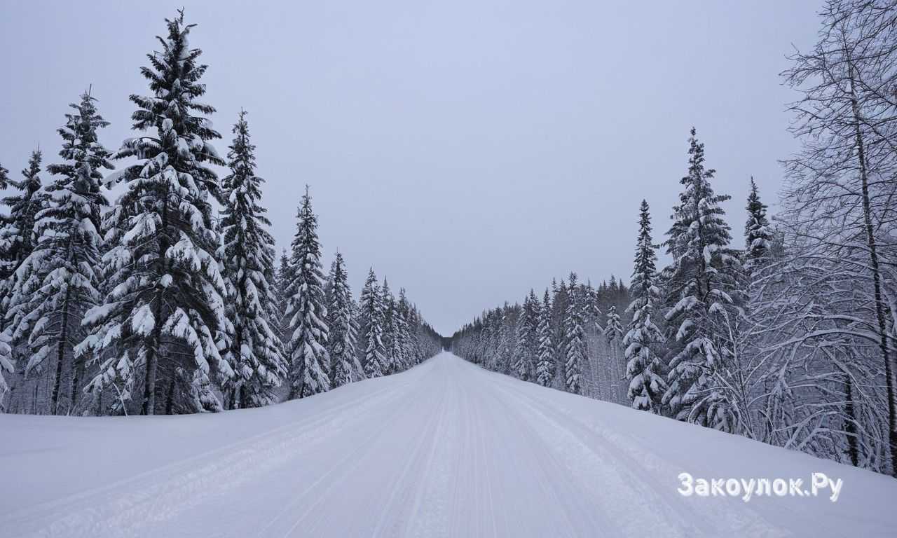Традиционные финские рождественские угощения и где их попробовать