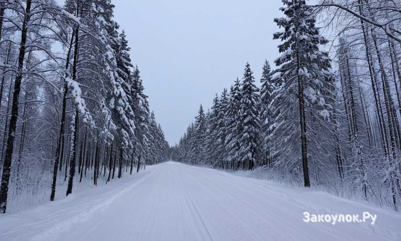 Советы для бронирования