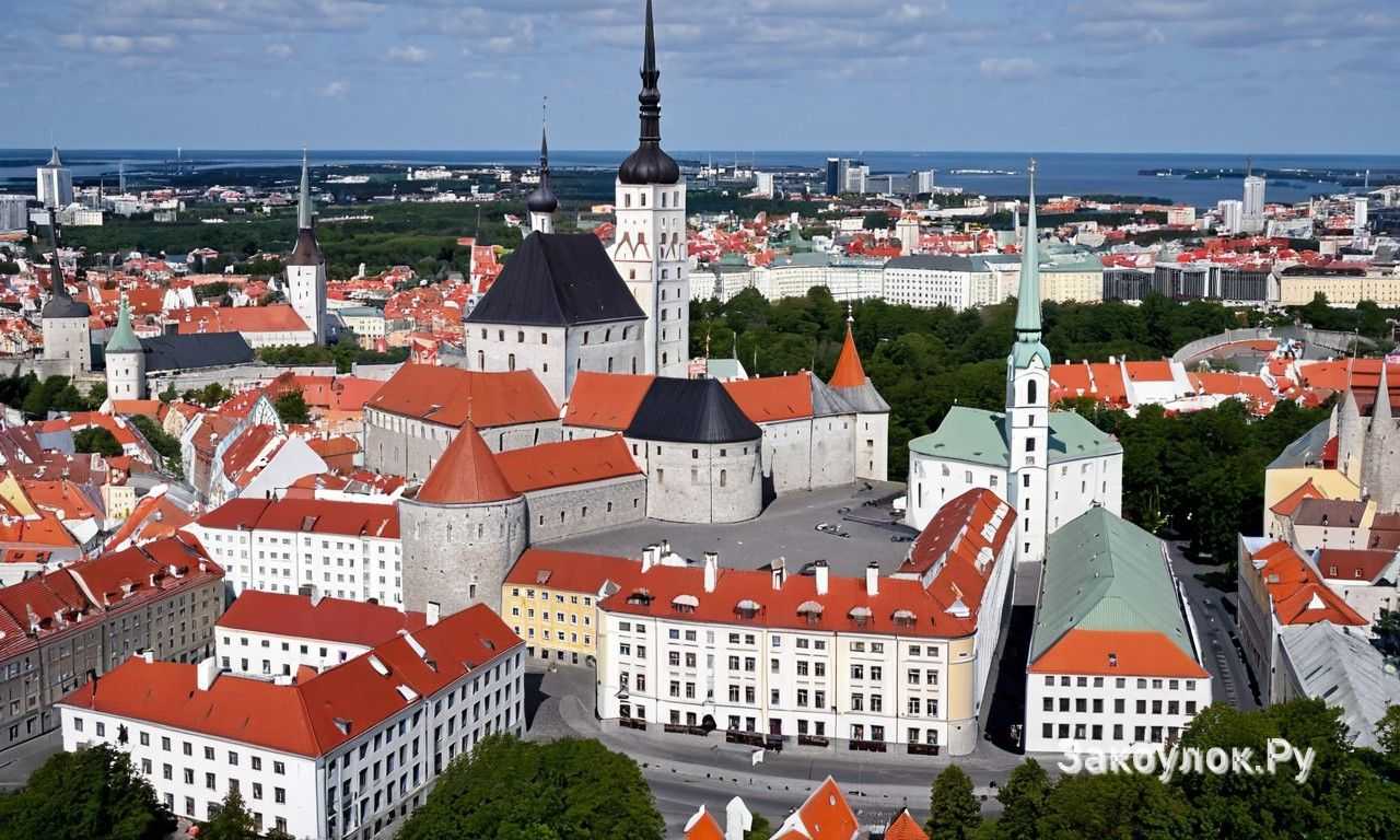 Рестораны и кафе Таллина с традиционной эстонской кухней выбор и советы