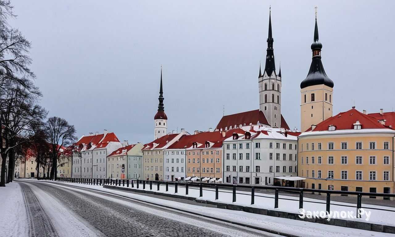 Какие выставки и культурные события проходят в Таллине в течение года