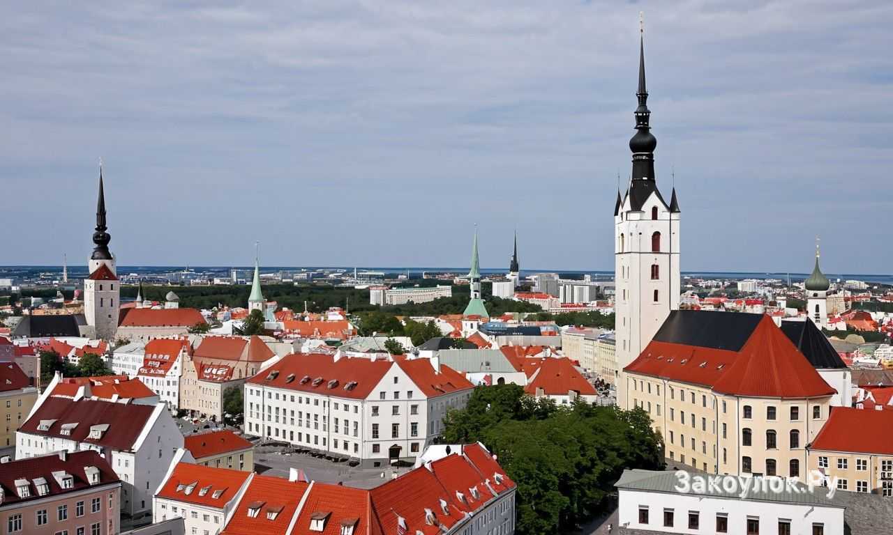 Где попробовать национальные блюда в Старом городе Таллина
