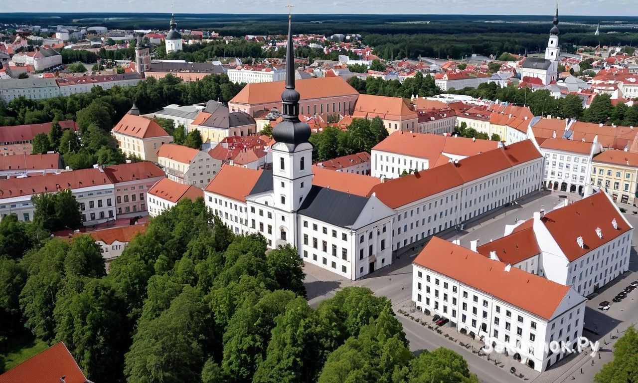 Как выбрать ресторан в Тарту по отзывам и рейтингам