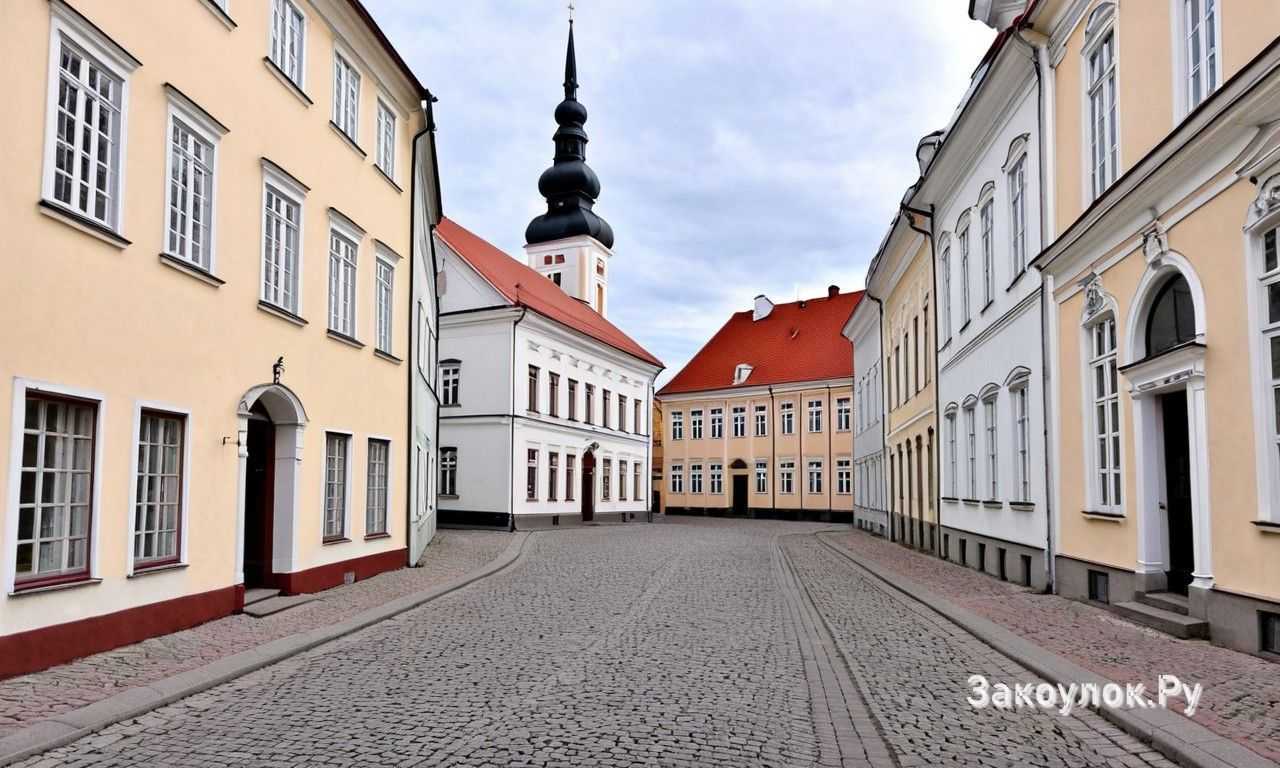 Лучшие кафе Тарту для завтраков и десертов: что выбрать туристу