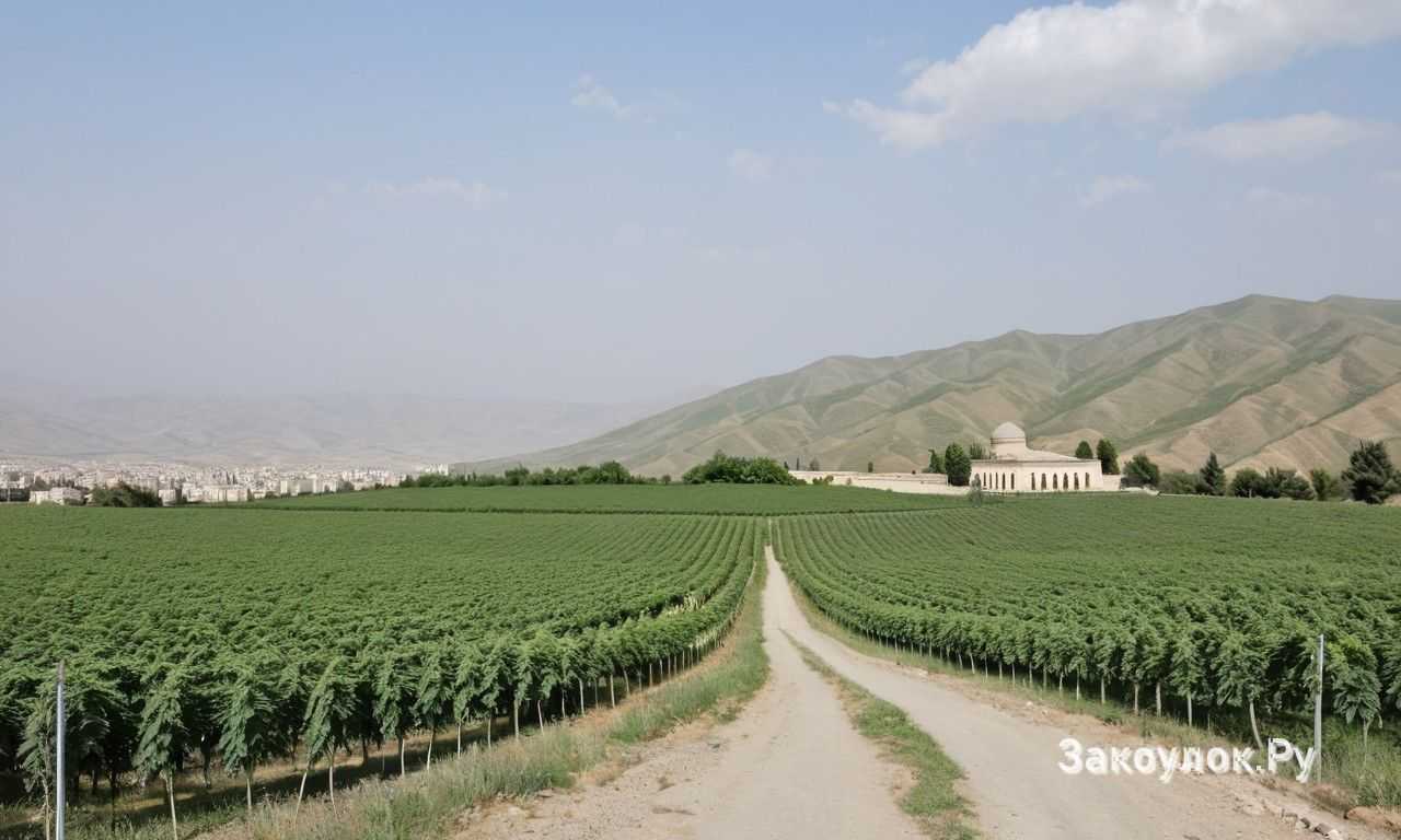 Рестораны Гянджи с национальной кухней и живой атмосферой