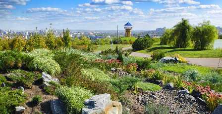 Ботанические сады Ленинградской области: взгляд на природу вдали от городской суеты