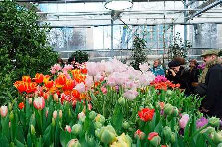 Ботанические сады Московской области: путешествие по цветущим просторам
