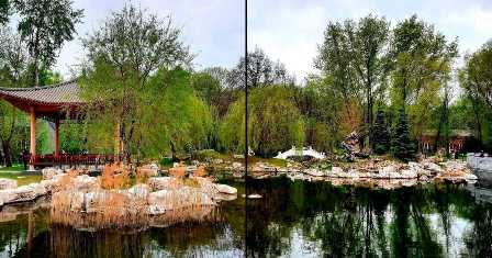Ботанические сады Москвы и Московской области: оазисы зелени в бетонной джунгли
