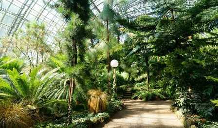 Ботанические сады Санкт-Петербурга: оазисы зелени