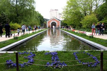 Ботанический сад Москвы: зеленый оазис в мегаполисе