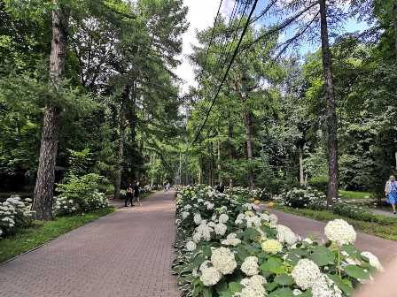 Мир на ладони: парки Москвы, где можно насладиться красотой природы