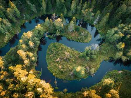 Наедине с природой: парки Ленинградской области, где можно расслабиться на свежем воздухе