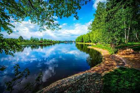 Парки Московской области: природа рядом с вами