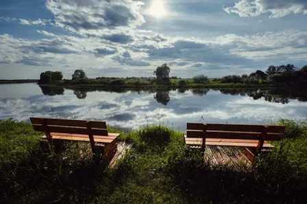 Природные парки и заповедники Московской области: окунитесь в природу