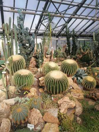 Сокровища планеты: ботанические сады Санкт-Петербурга