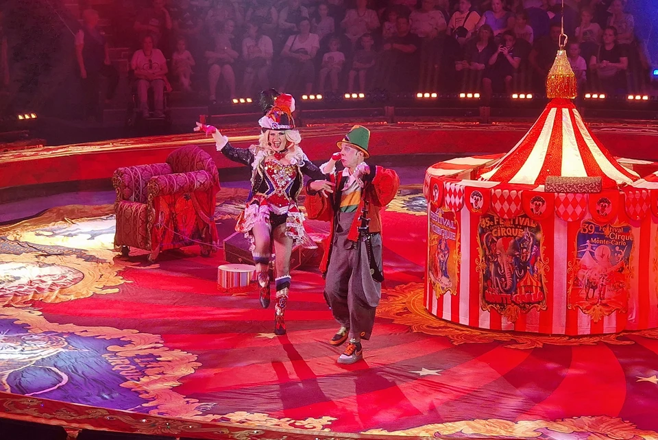 Цирки Московской области: шоу, запоминающиеся на всю жизнь