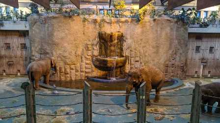 Удивительные зоопарки Москвы: знакомство с животными