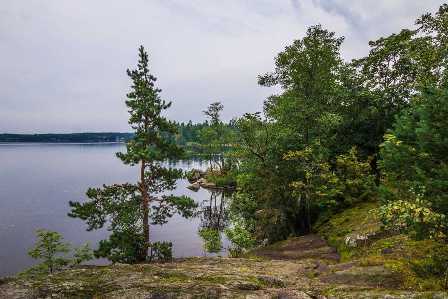 Удивительный мир природы: природные достопримечательности Ленинградской области, которые надо увидеть