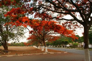 Лусака - Замбия - Фото - Достопримечательности