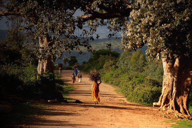Аддис-Абеба - Эфиопия - Фото - Достопримечательности
